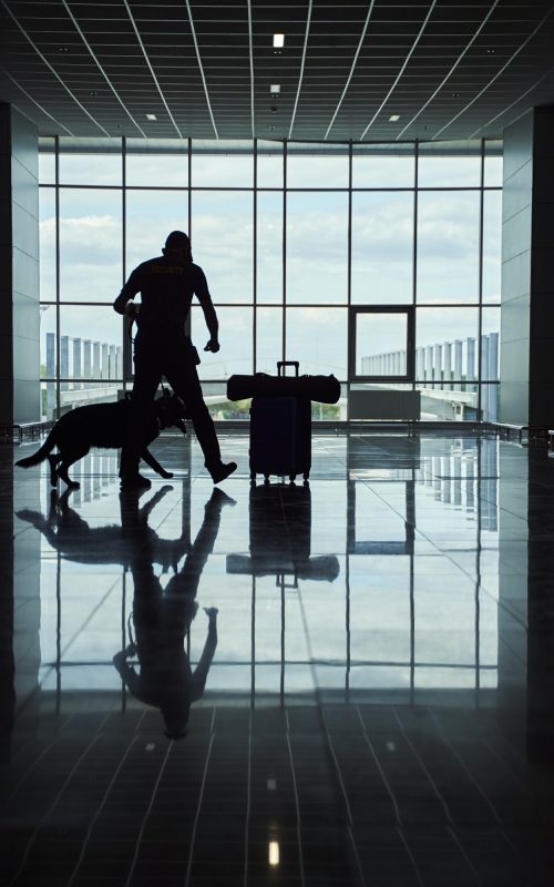 security-worker-with-detection-dog-checking-luggage-at-airport.jpg